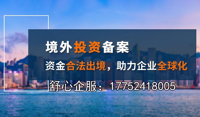 如何顺利掌握ODI登记业务凭证？全面解析及实操指南