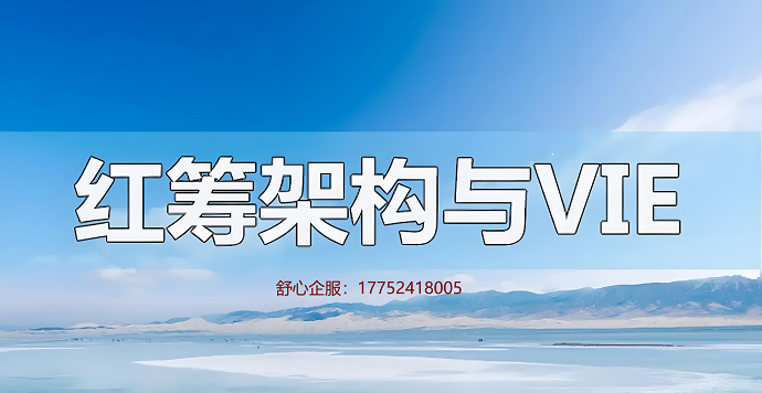 VIE架构37号文